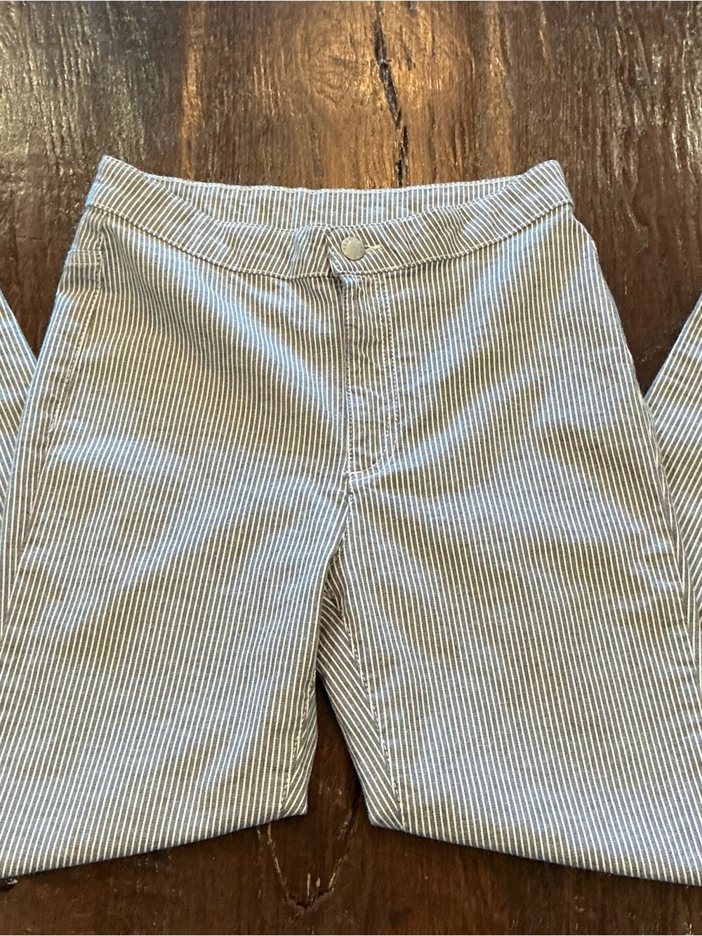Free People Blue and White Striped Slim Leg Pants Size 27
